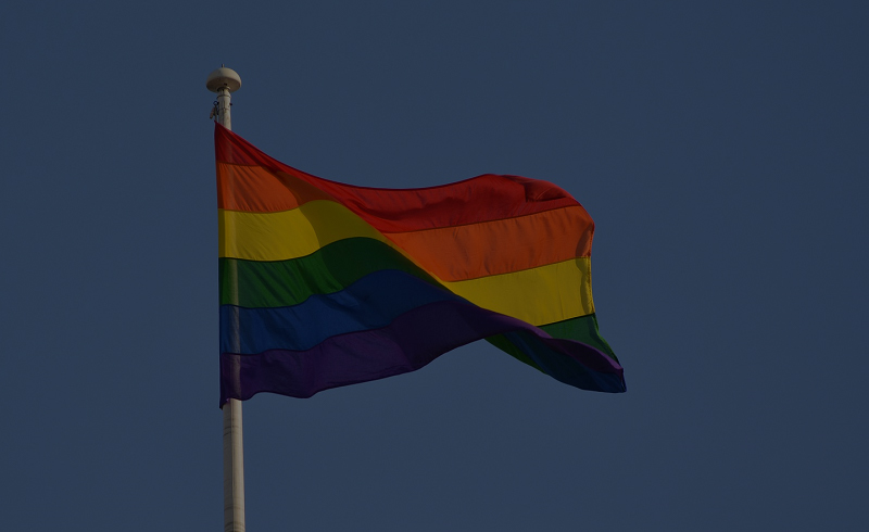 RainbowFlag800 tint 002
