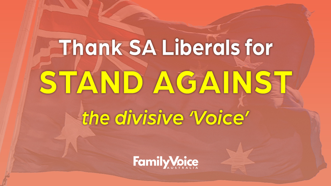 Thank SA Libs Fed Voice 1080px